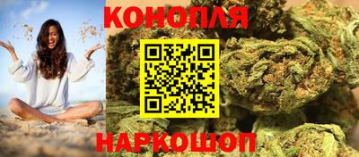 гашик Бийск