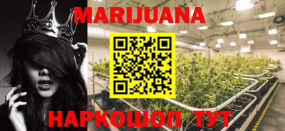 гашик Бийск