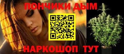 шишки Берёзовский
