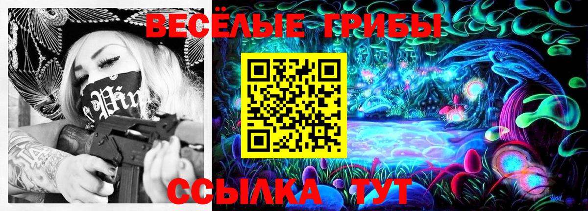 Кимры  Галлюциногенные грибы GOLDEN TEACHER  Вход с VPN 